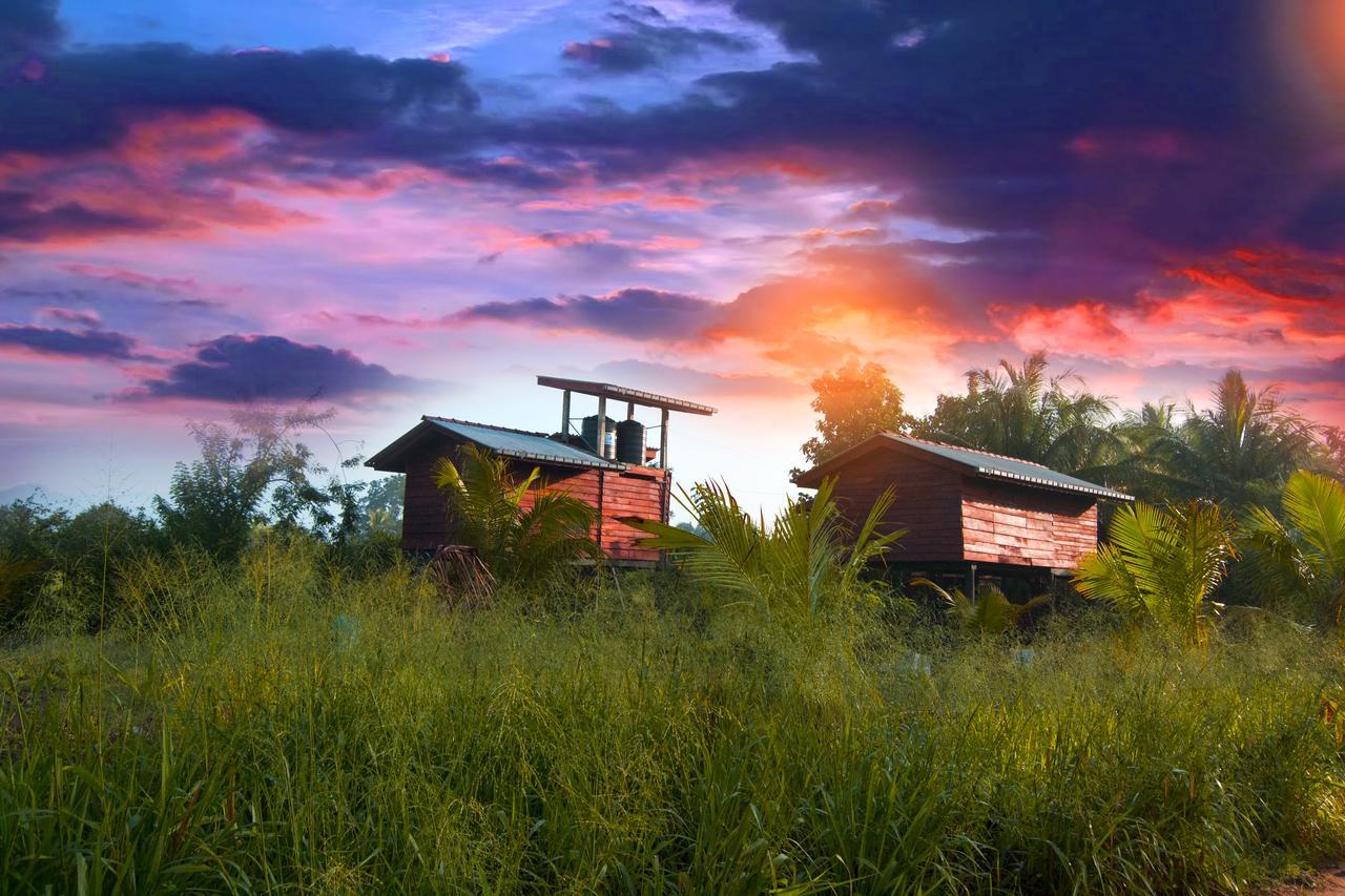 Sigiri Sarilco Rock View Treehouse Vila Sigiriya Exterior foto