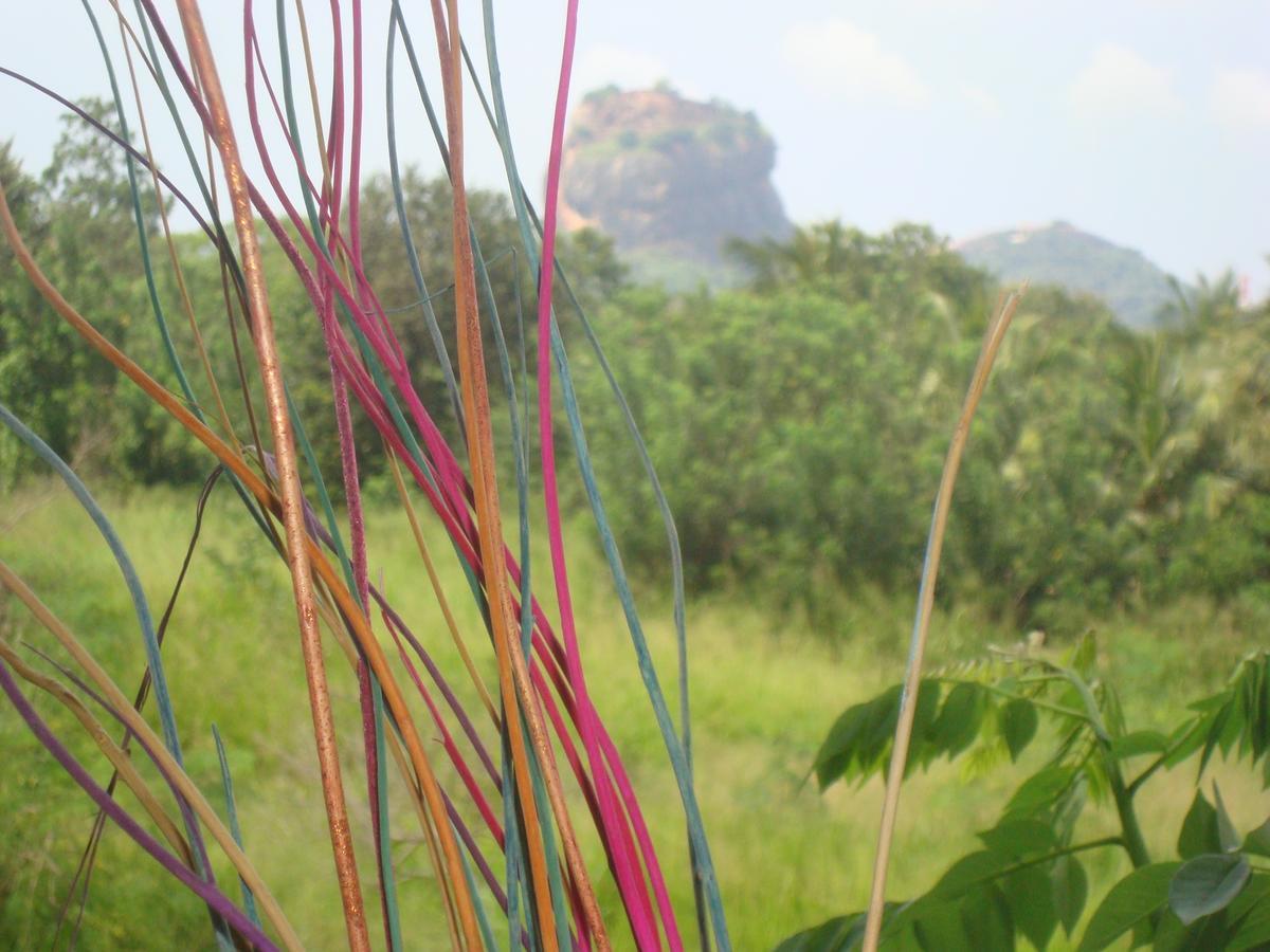 Sigiri Sarilco Rock View Treehouse Vila Sigiriya Exterior foto